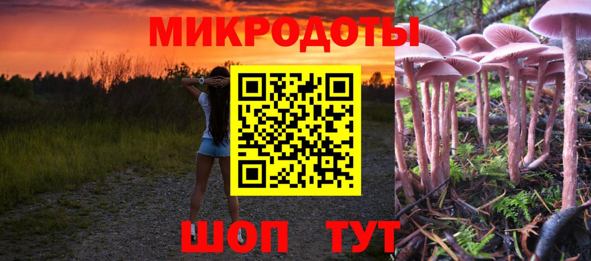 Галлюциногенные грибы ЛСД  Вход с VPN  купить  сайты  Новый Уренгой  Галлюциногенные грибы Psilocybine cubensis 