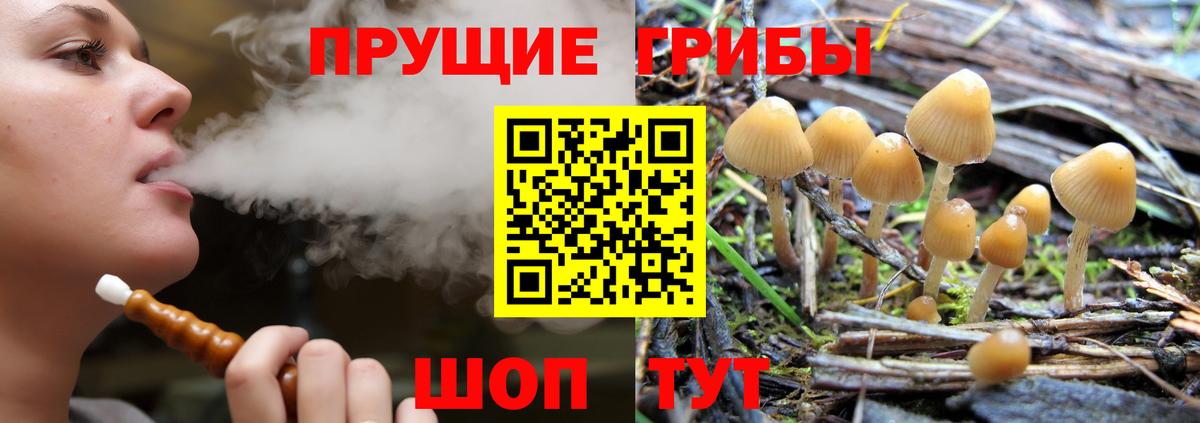 Псилоцибиновые грибы MAGIC MUSHROOMS Новый Уренгой